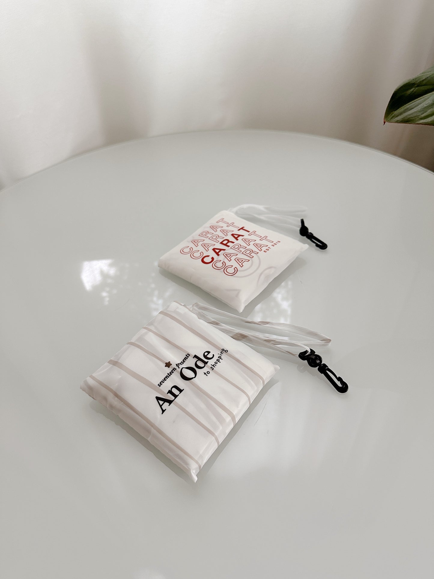 Seventeen Inspired Foldable Reusable Shopping Bag