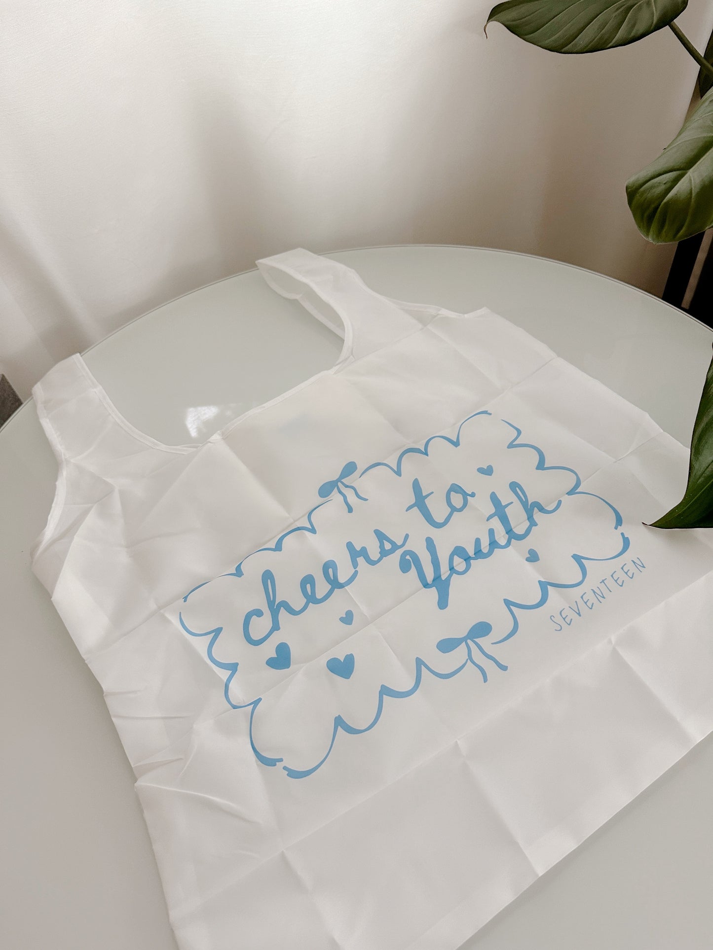 Seventeen Inspired Foldable Reusable Shopping Bag