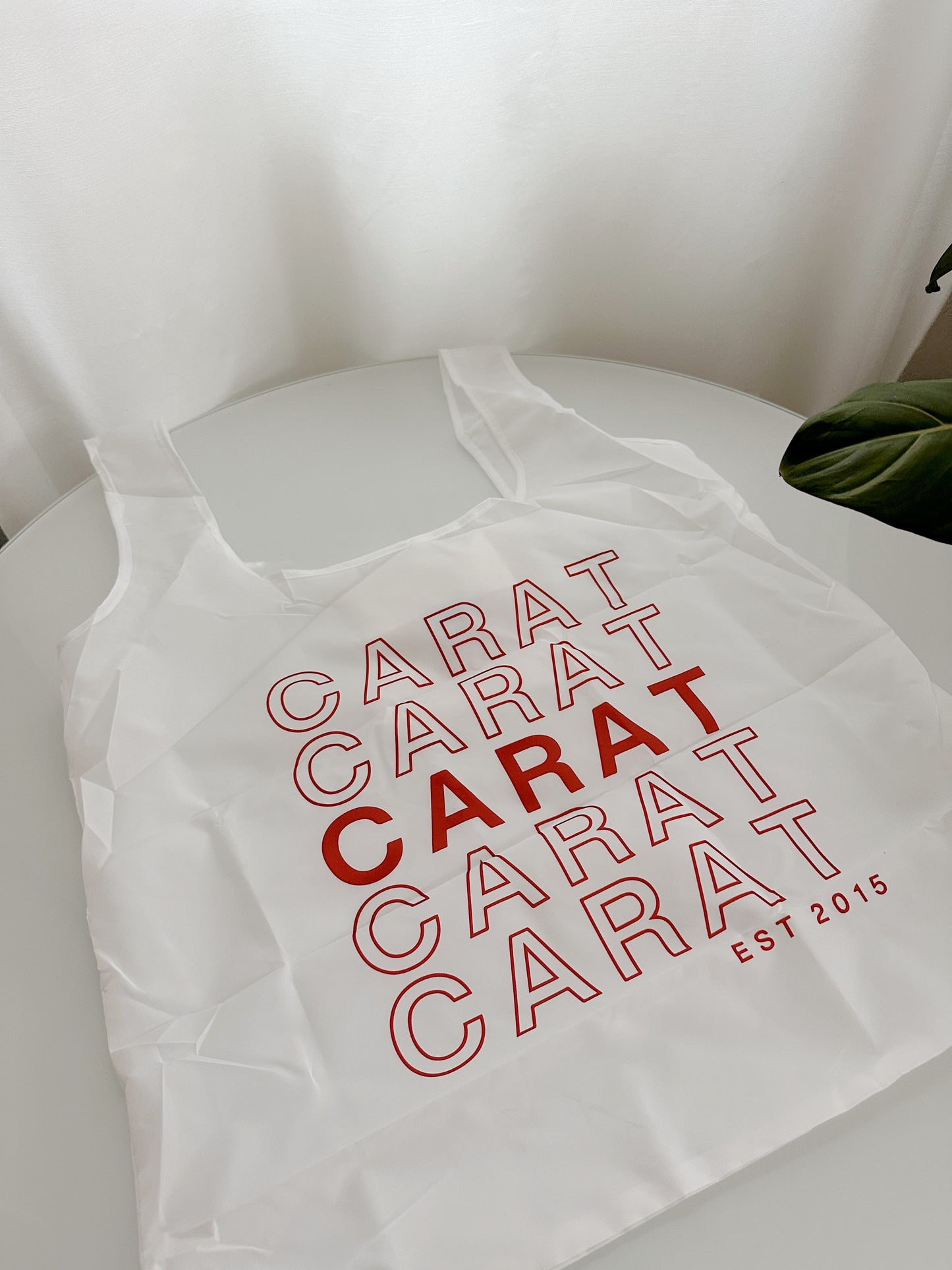 Seventeen Inspired Foldable Reusable Shopping Bag